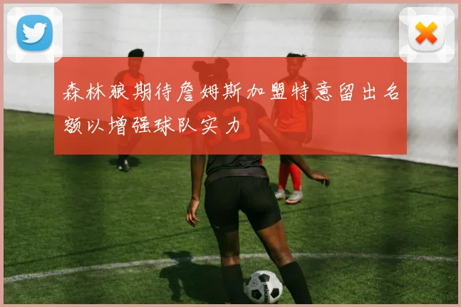 森林狼期待詹姆斯加盟特意留出名额以增强球队实力