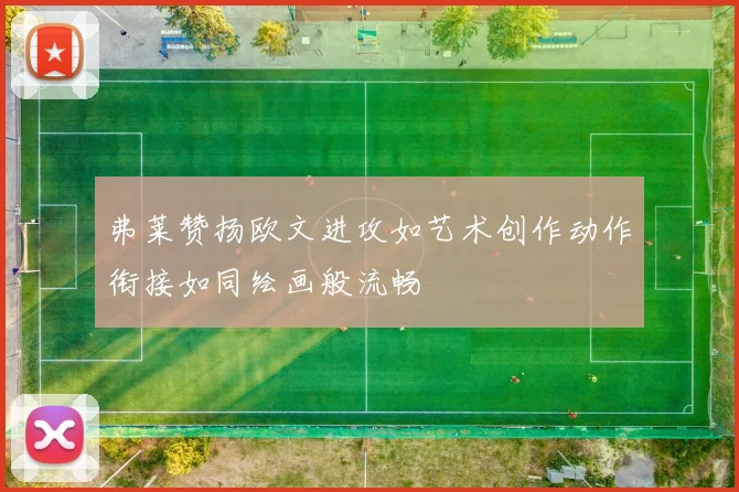 弗莱赞扬欧文进攻如艺术创作动作衔接如同绘画般流畅
