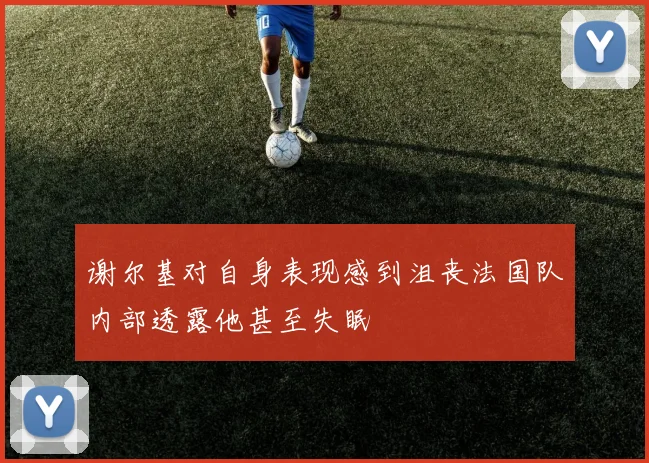 谢尔基对自身表现感到沮丧法国队内部透露他甚至失眠